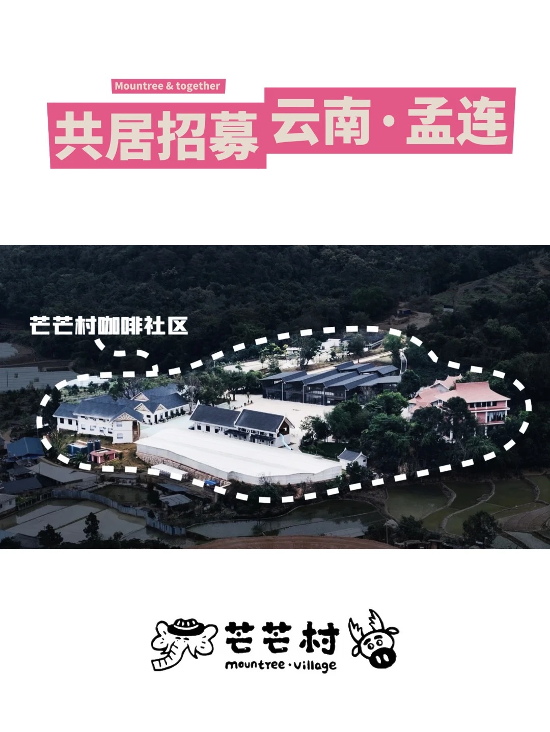 俯瞰云南孟连芒芒村咖啡社区